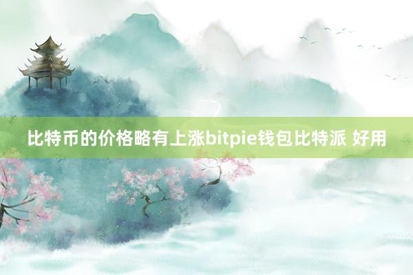 比特币的价格略有上涨bitpie钱包比特派 好用