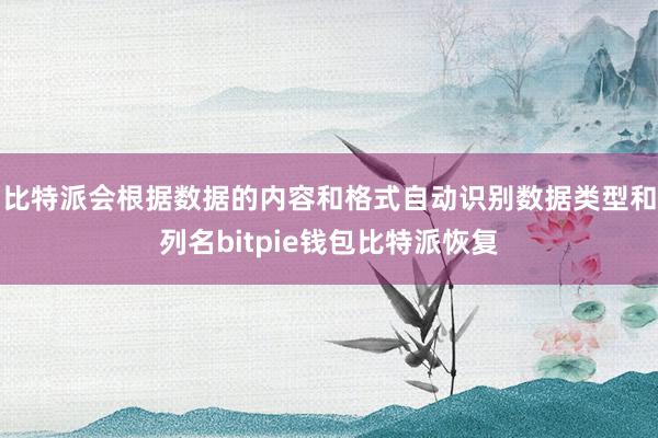 比特派会根据数据的内容和格式自动识别数据类型和列名bitpie钱包比特派恢复