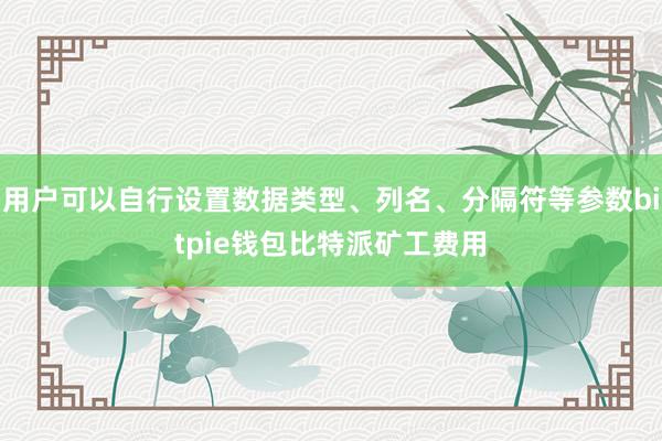 用户可以自行设置数据类型、列名、分隔符等参数bitpie钱包比特派矿工费用