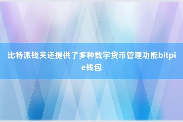 比特派钱夹还提供了多种数字货币管理功能bitpie钱包