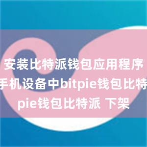 安装比特派钱包应用程序到你的手机设备中bitpie钱包比特派 下架