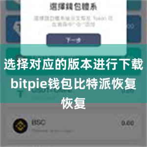 选择对应的版本进行下载bitpie钱包比特派恢复