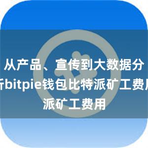 从产品、宣传到大数据分析bitpie钱包比特派矿工费用