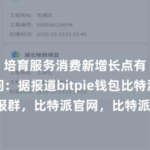 培育服务消费新增长点有记者提问：据报道bitpie钱包比特派电报群，比特派官网，比特派钱包，比特派下载