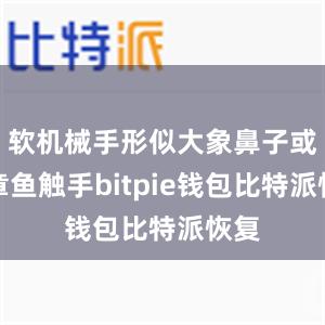 软机械手形似大象鼻子或是章鱼触手bitpie钱包比特派恢复