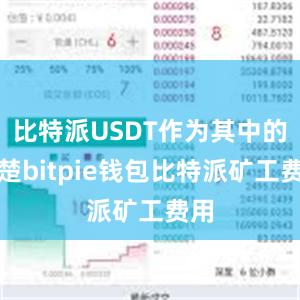 比特派USDT作为其中的翘楚bitpie钱包比特派矿工费用