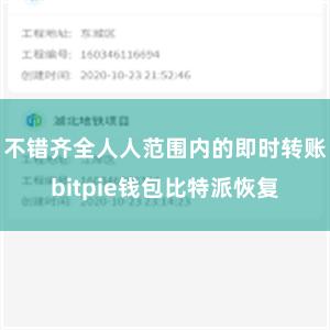 不错齐全人人范围内的即时转账bitpie钱包比特派恢复