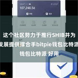 这个社区努力于推行SHIB并为它的发展提供撑合手bitpie钱包比特派 好用