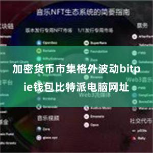 加密货币市集格外波动bitpie钱包比特派电脑网址