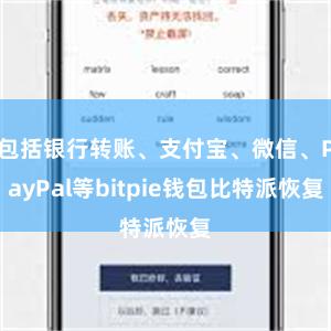 包括银行转账、支付宝、微信、PayPal等bitpie钱包比特派恢复