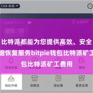 比特派都能为您提供高效、安全的数据恢复服务bitpie钱包比特派矿工费用